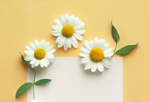 Mehr über den Artikel erfahren Creativity requires you to murder your children upsell